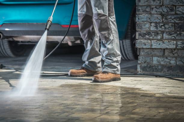 Best Sidewalk and Walkway Cleaning  in Mitchell, IL
