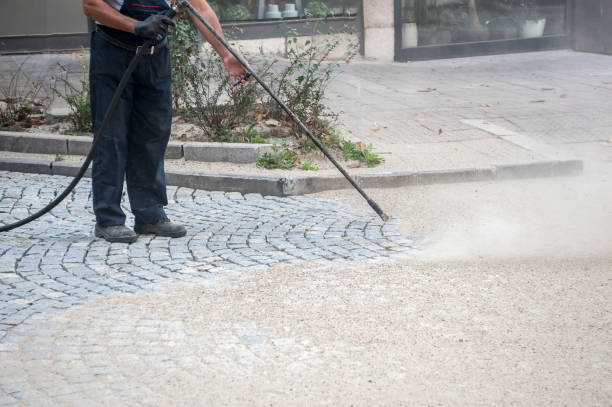Best Animal Enclosure Cleaning  in Mitchell, IL